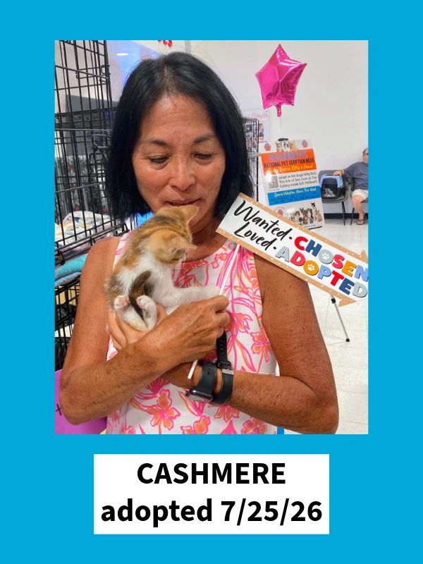 Cashmere adopted