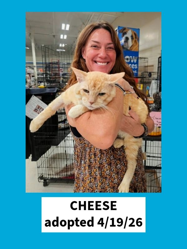 Cheese adopted