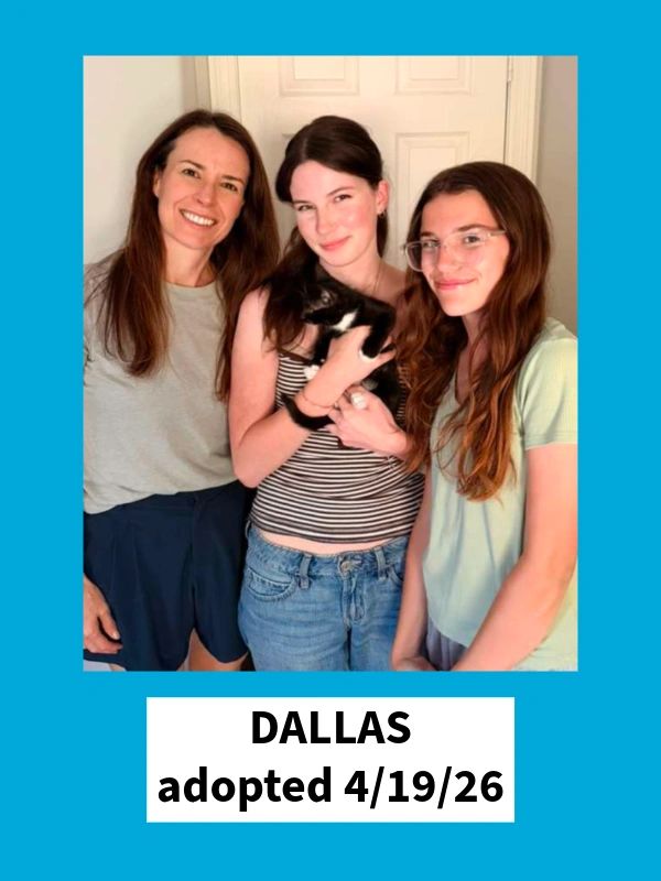 Dallas adopted
