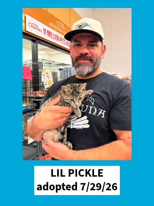 Lil Pickle adopted