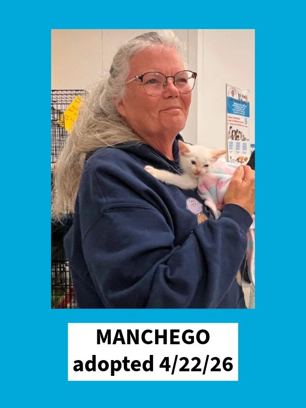 Manchego adopted