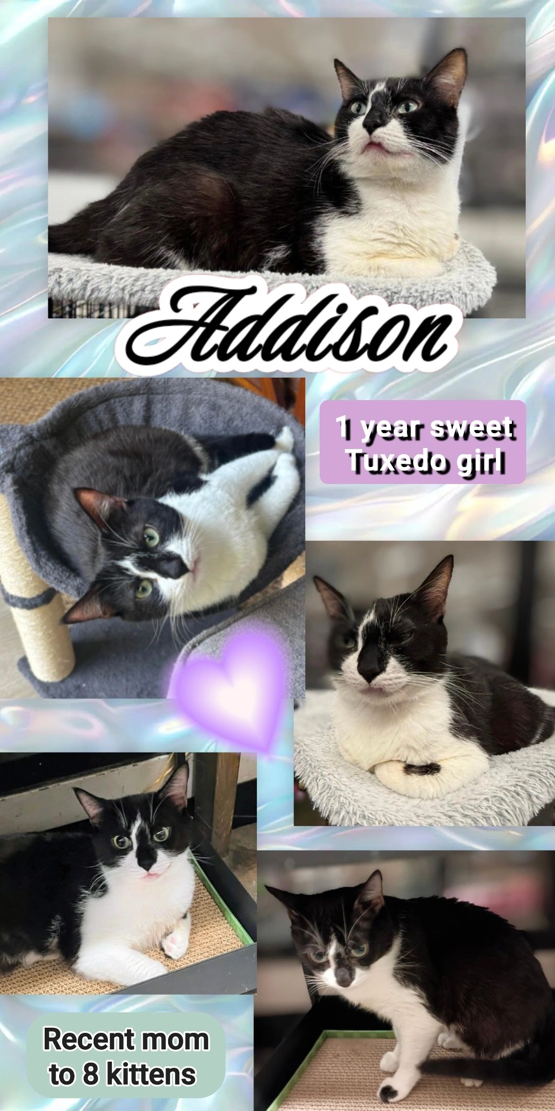 Addison