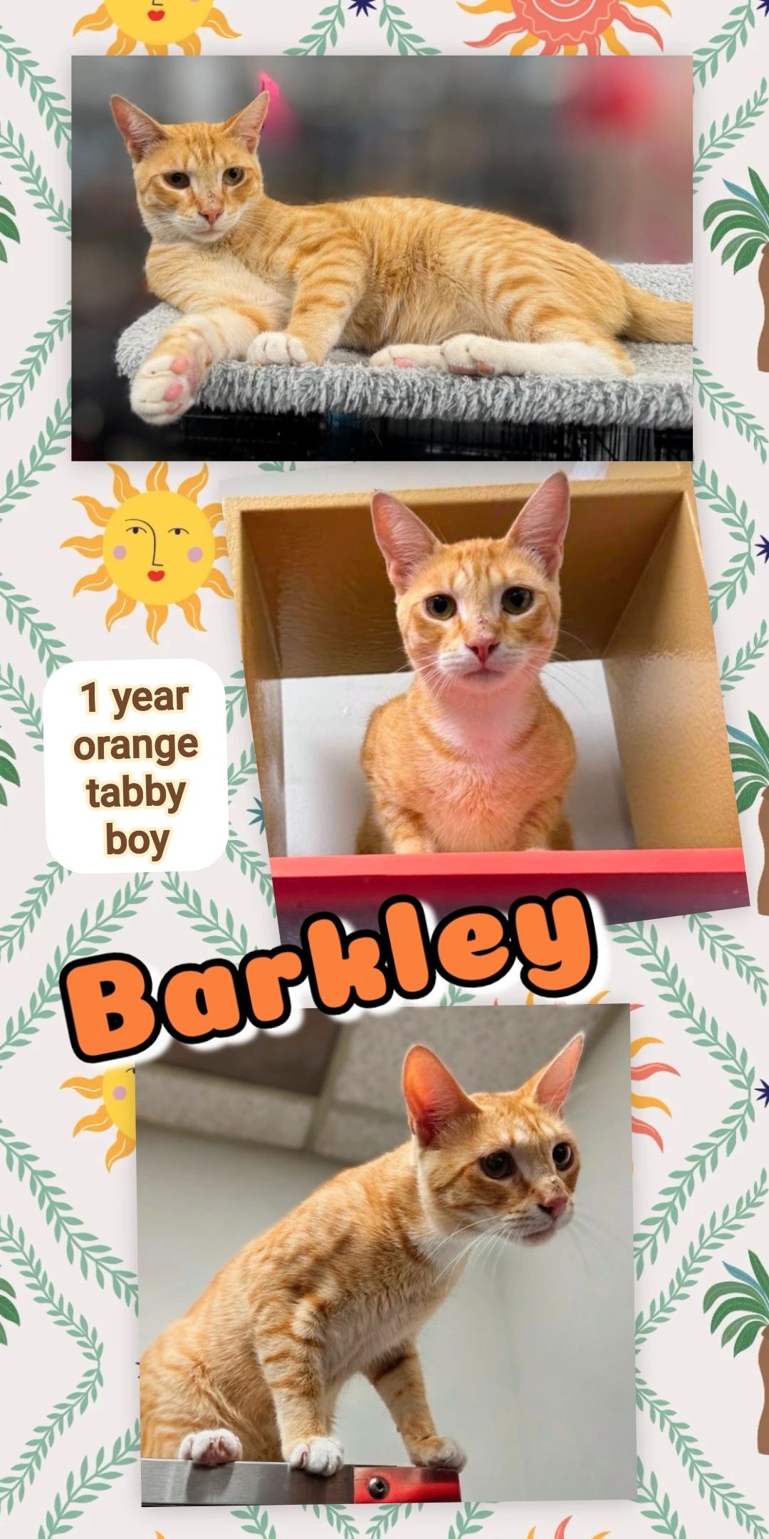 Barkley