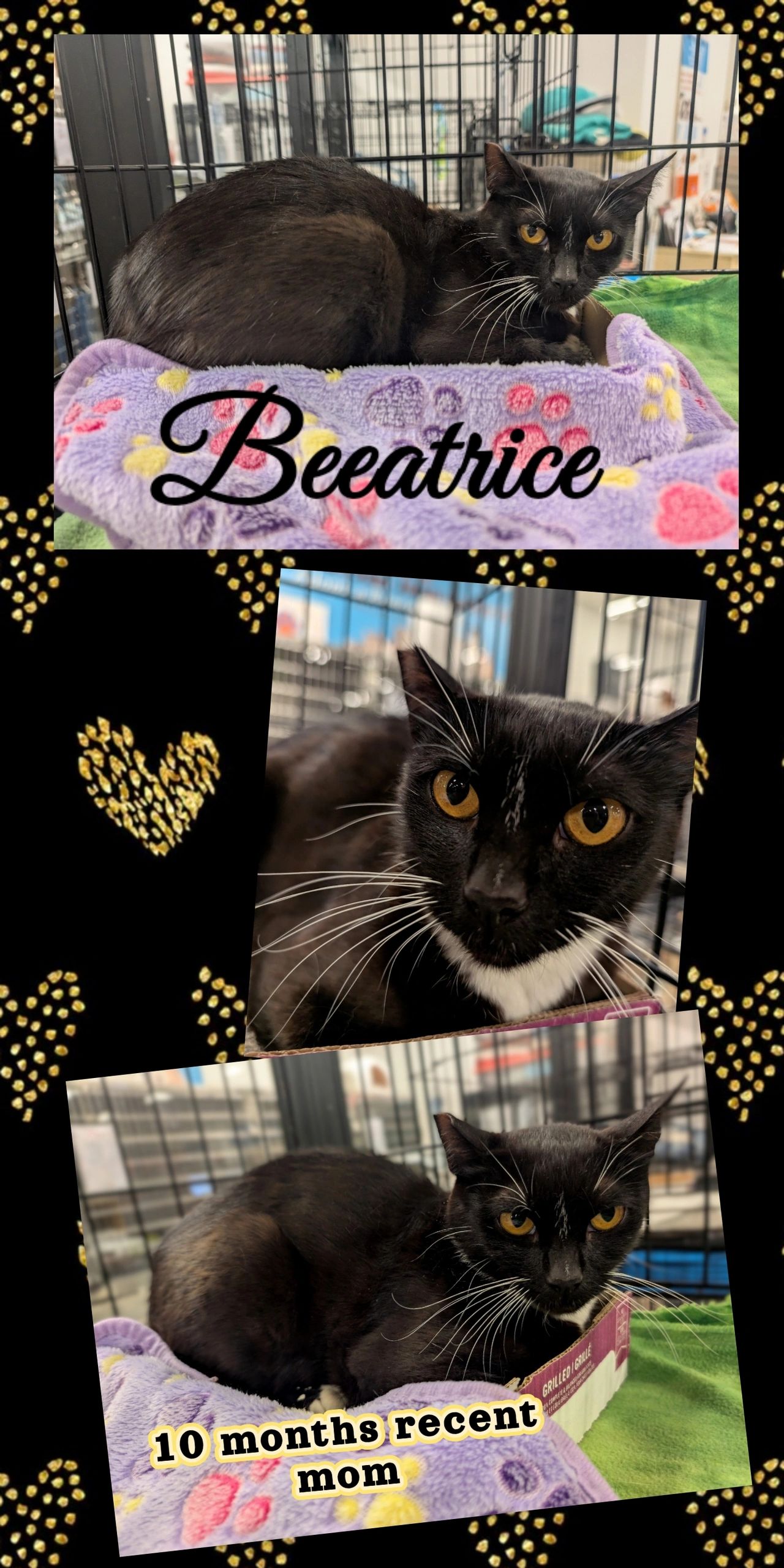 Beeatrice