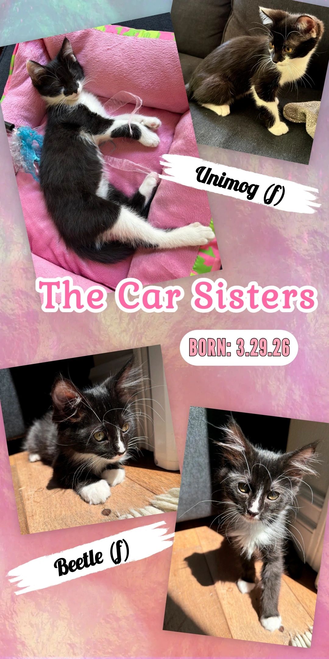 Car Sisters