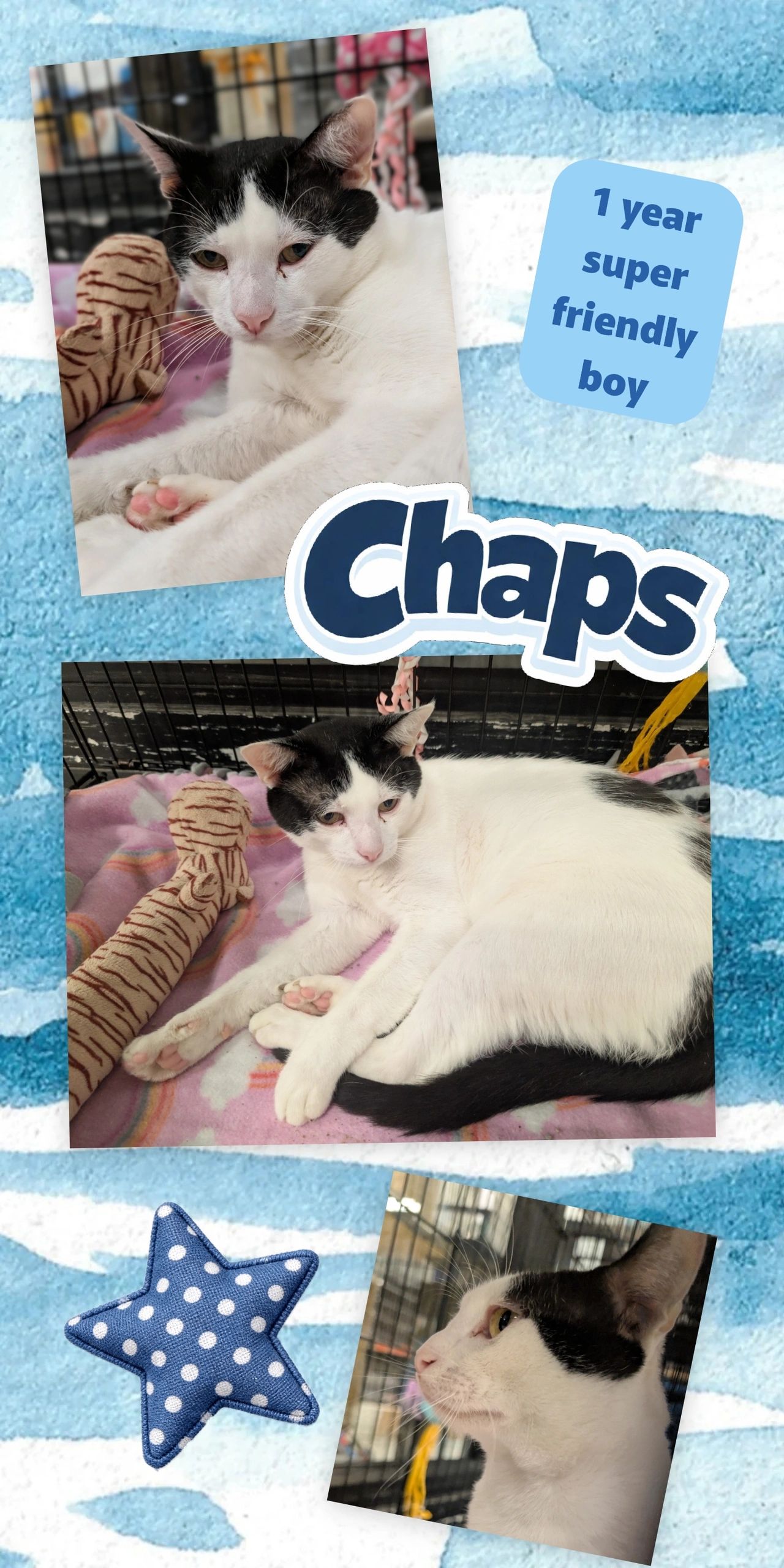 Chaps
