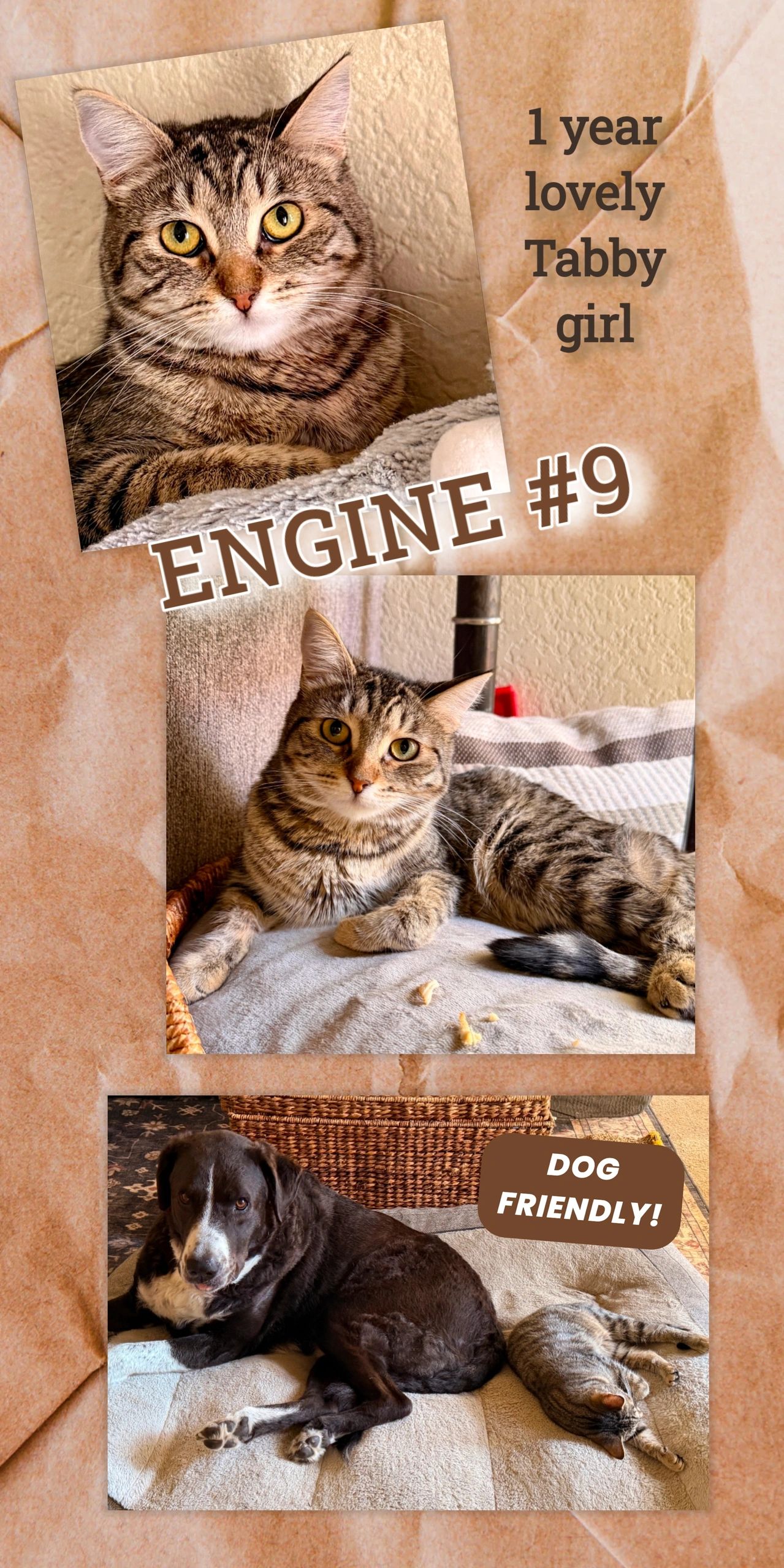 Engine #9