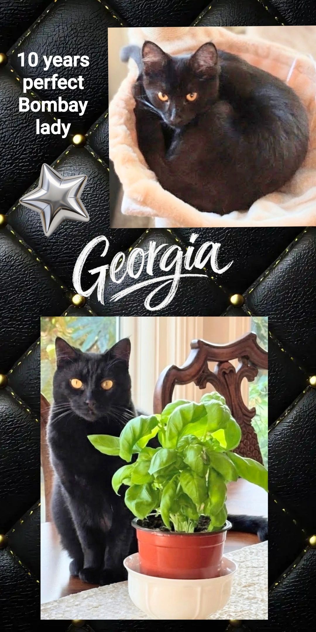 Georgia