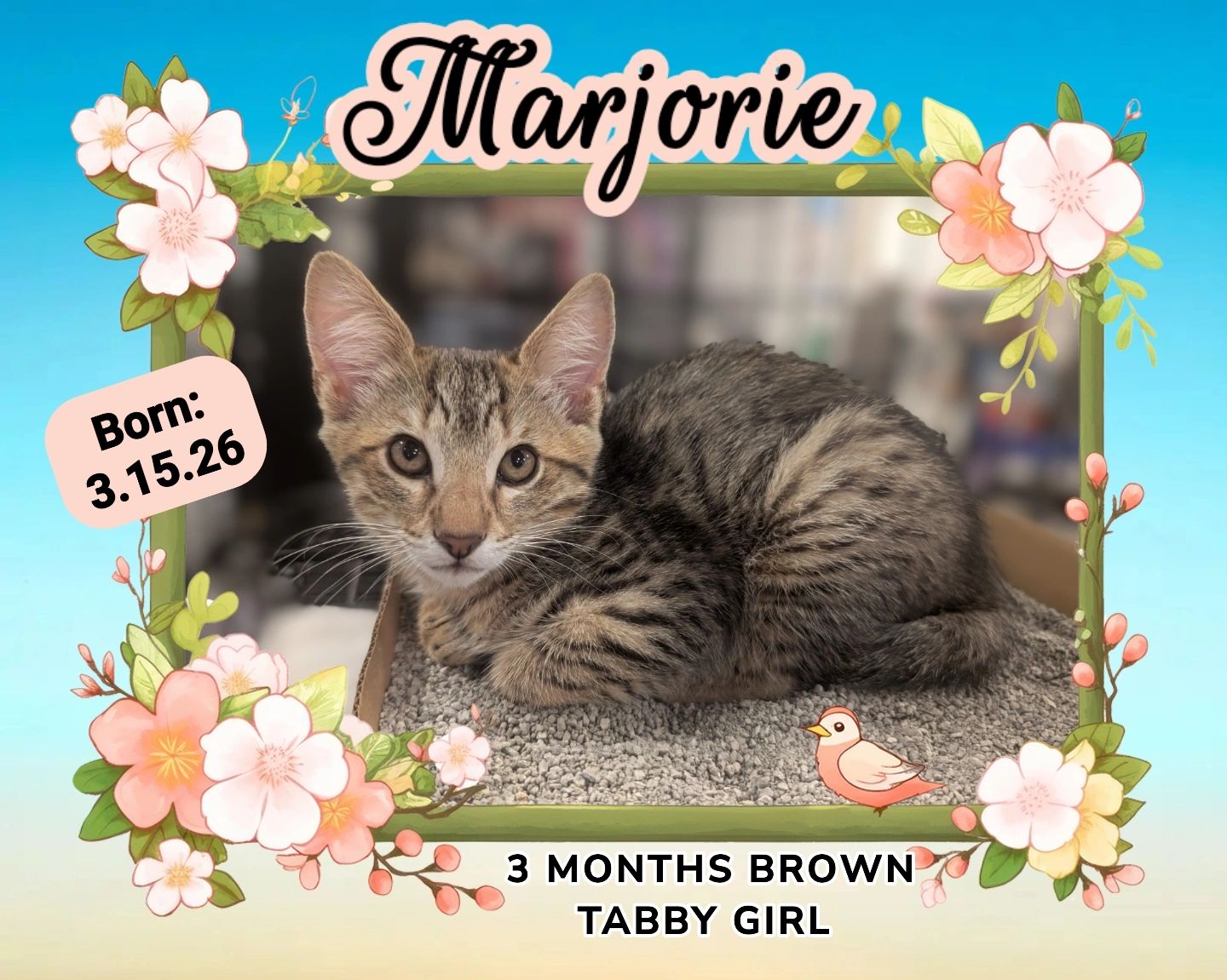 Marjorie