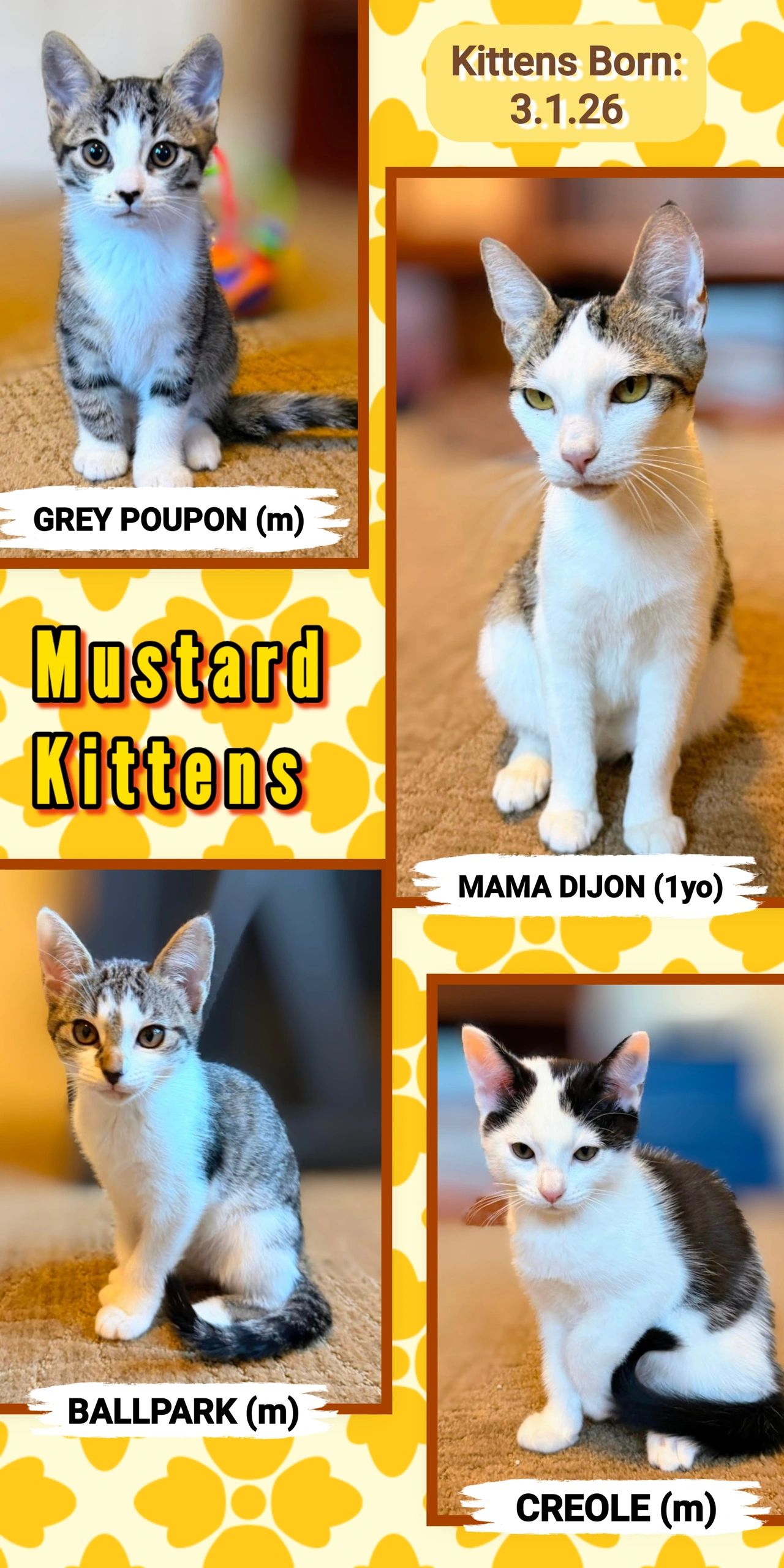 Mustard