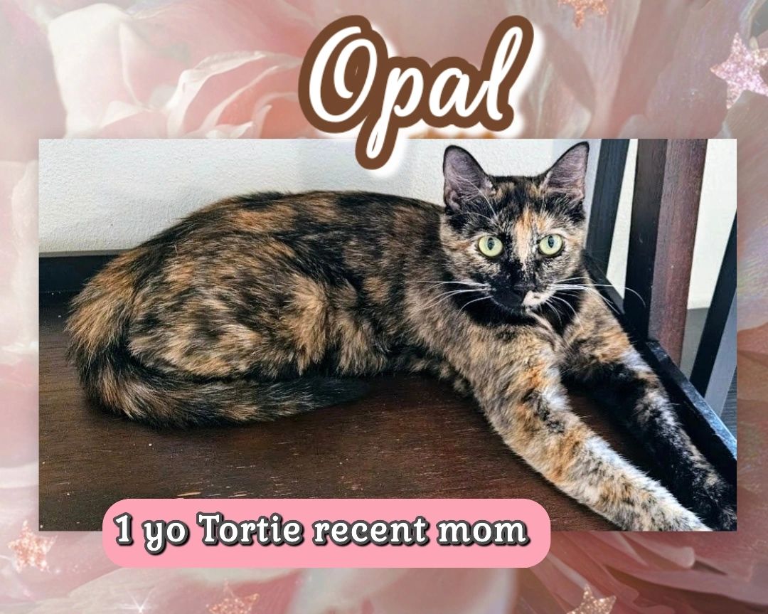 Opal
