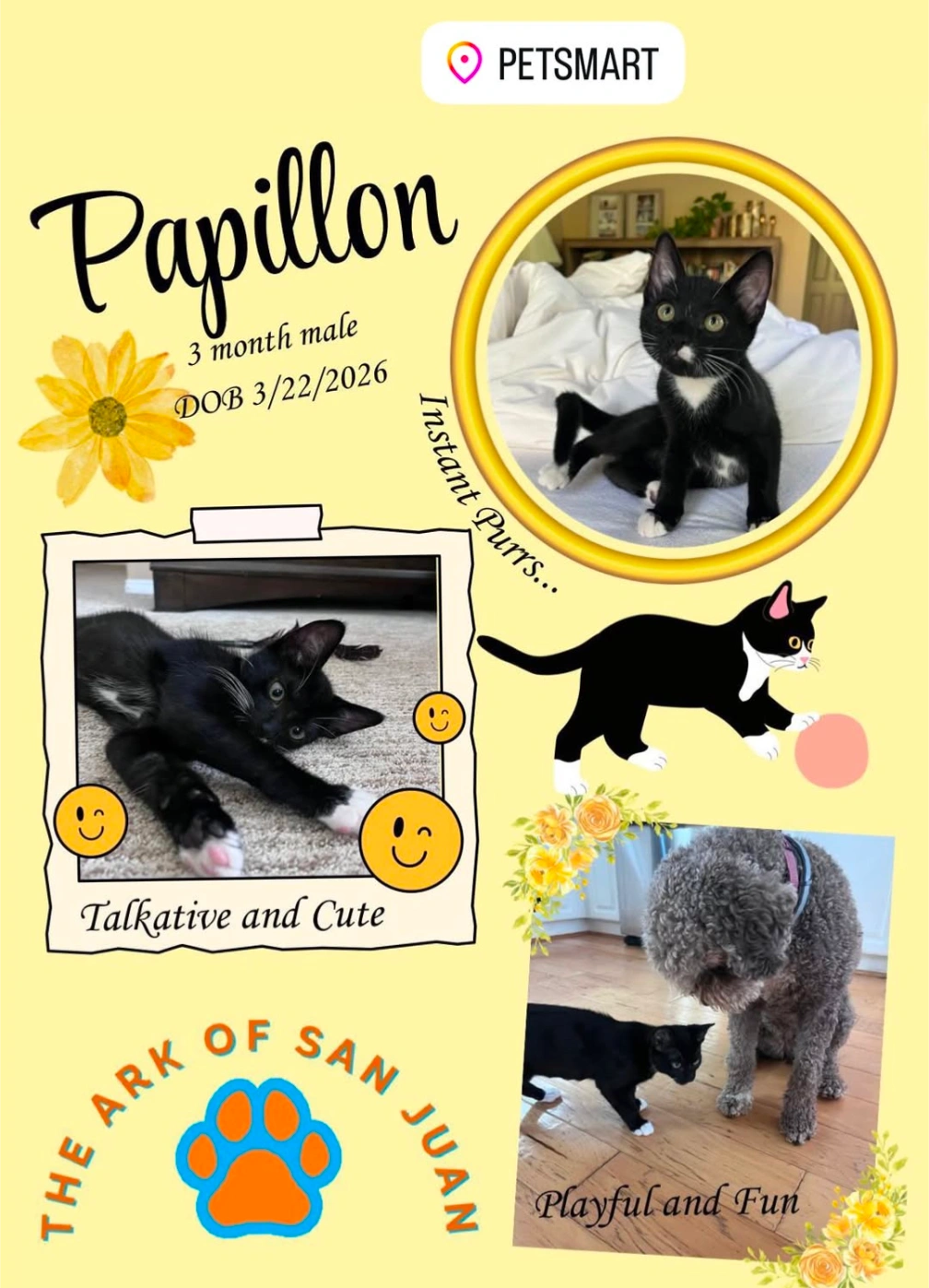 Papillon
