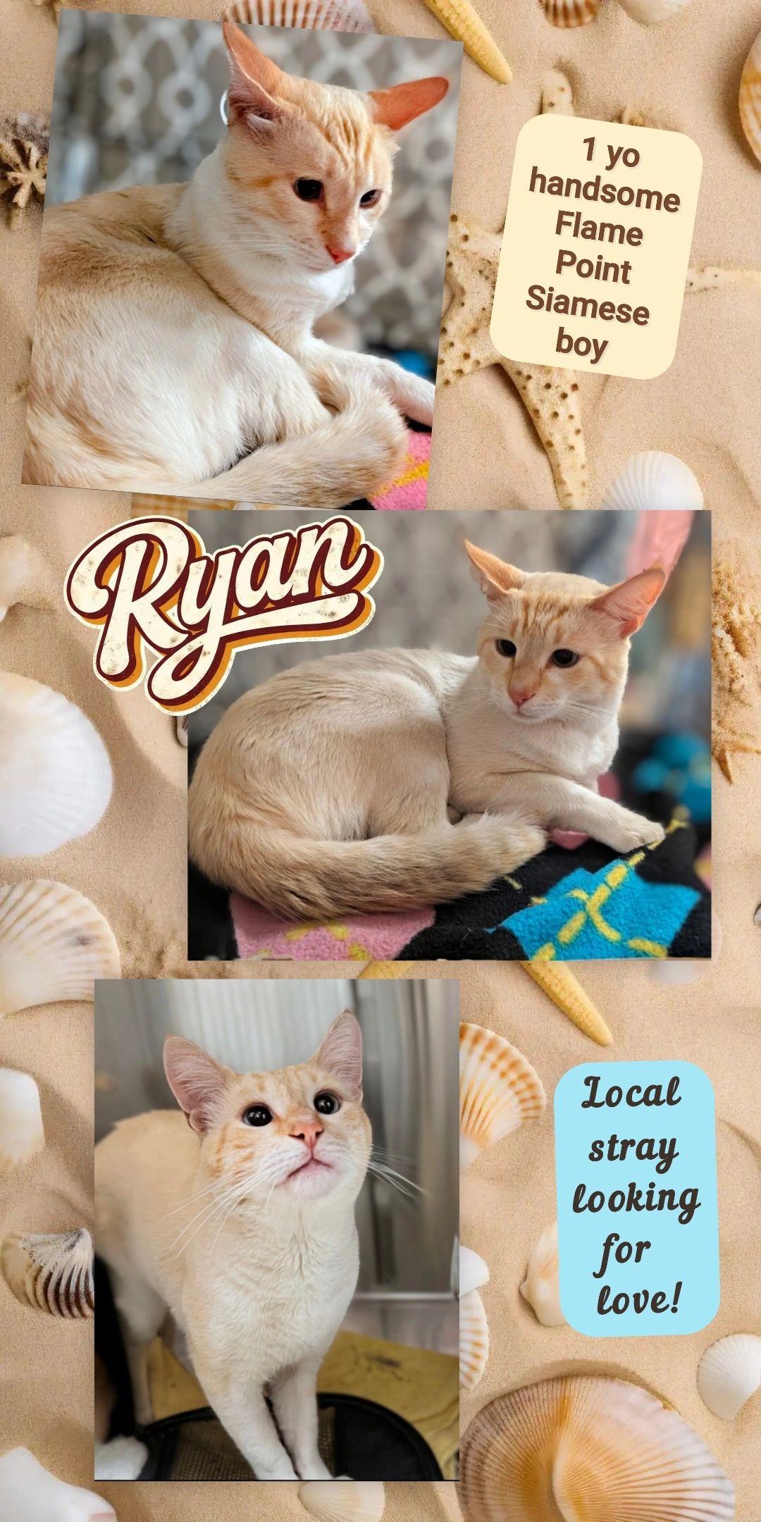 Ryan