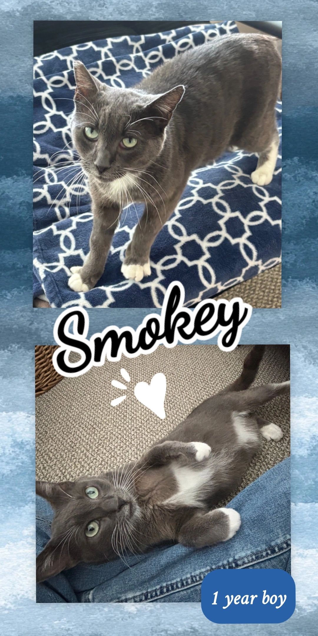 Smokey-2