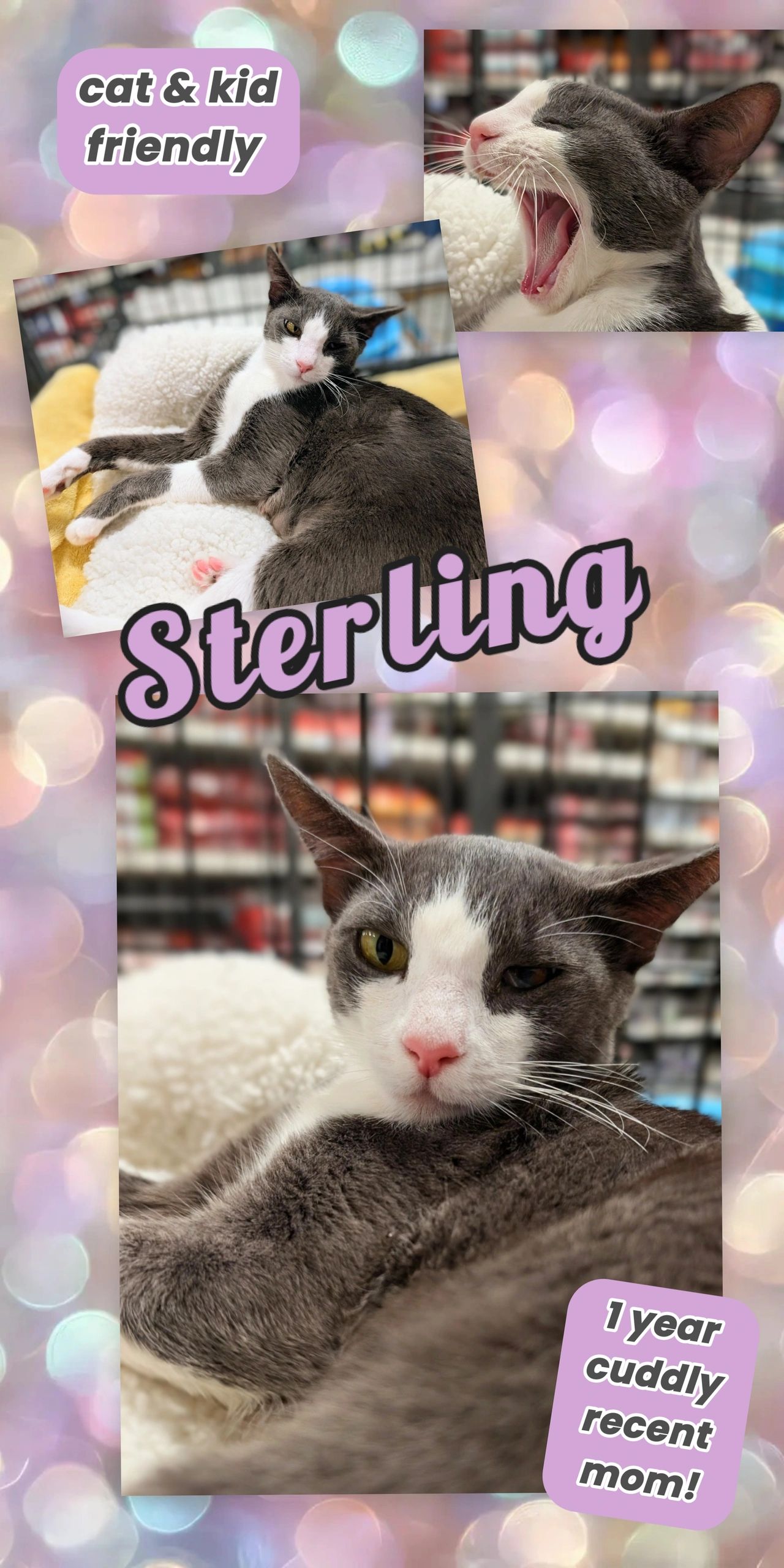 Sterling