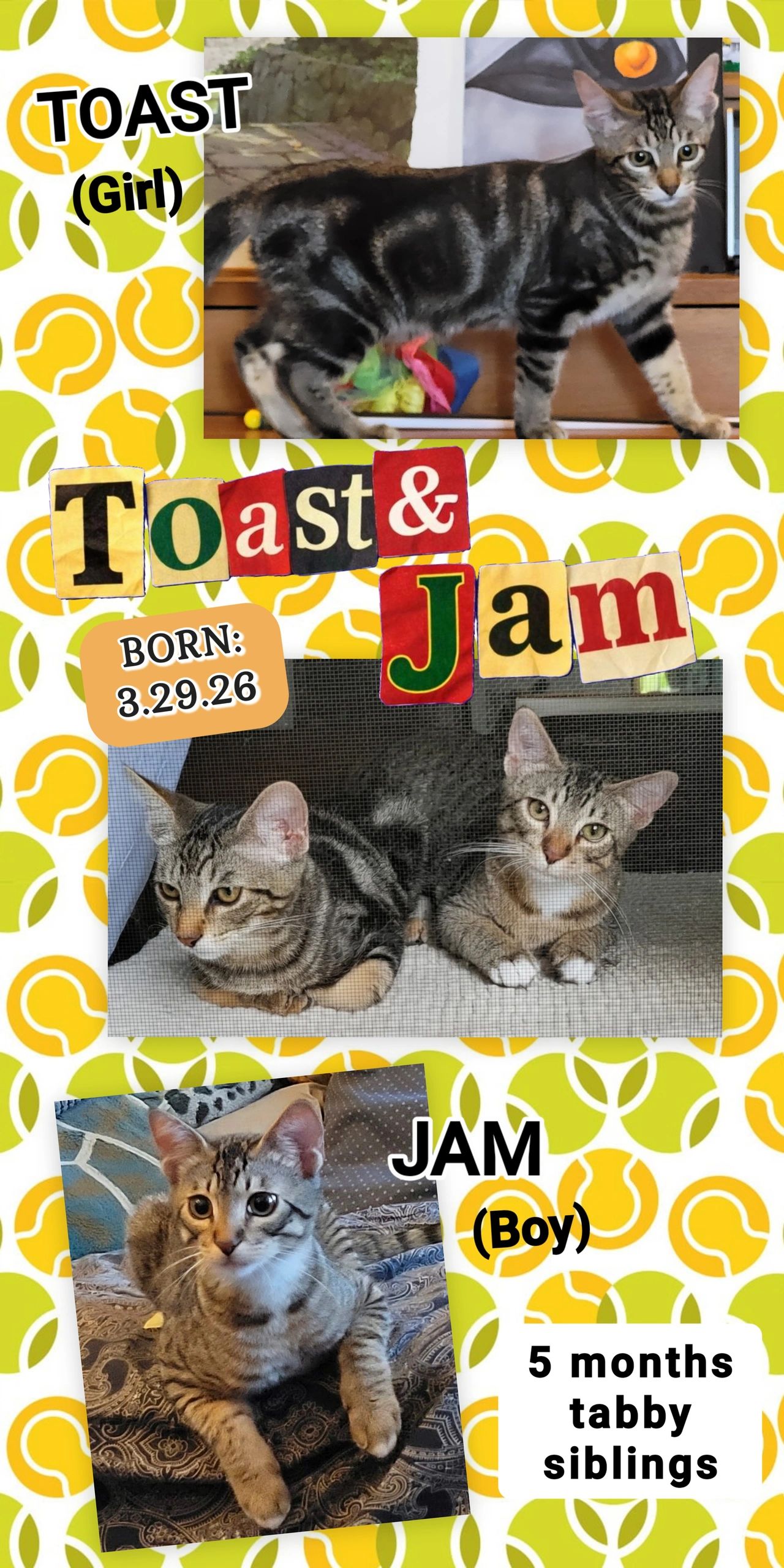Toast & Jam